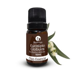 Óleo essencial de Eucalipto Globulus 100% puro e natural