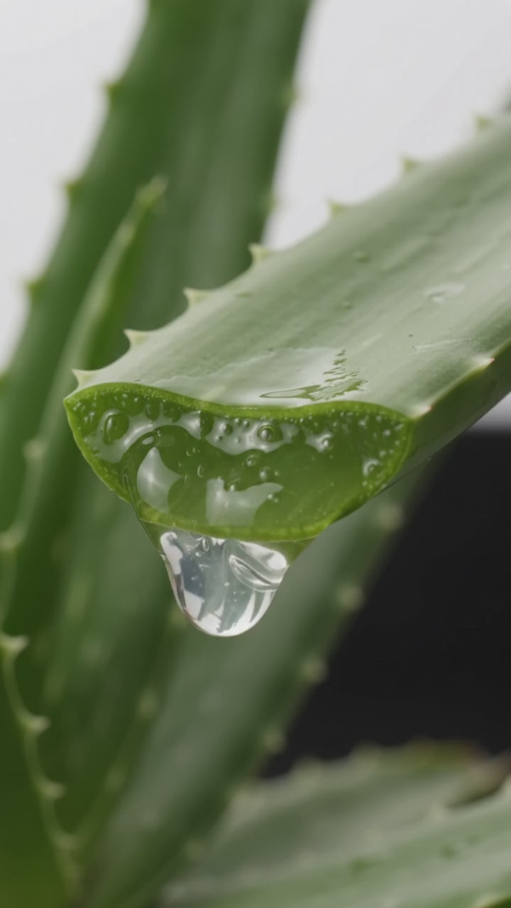 Óleo de Aloe Vera (babosa) Puro - 100% natural uso capilar e corporal