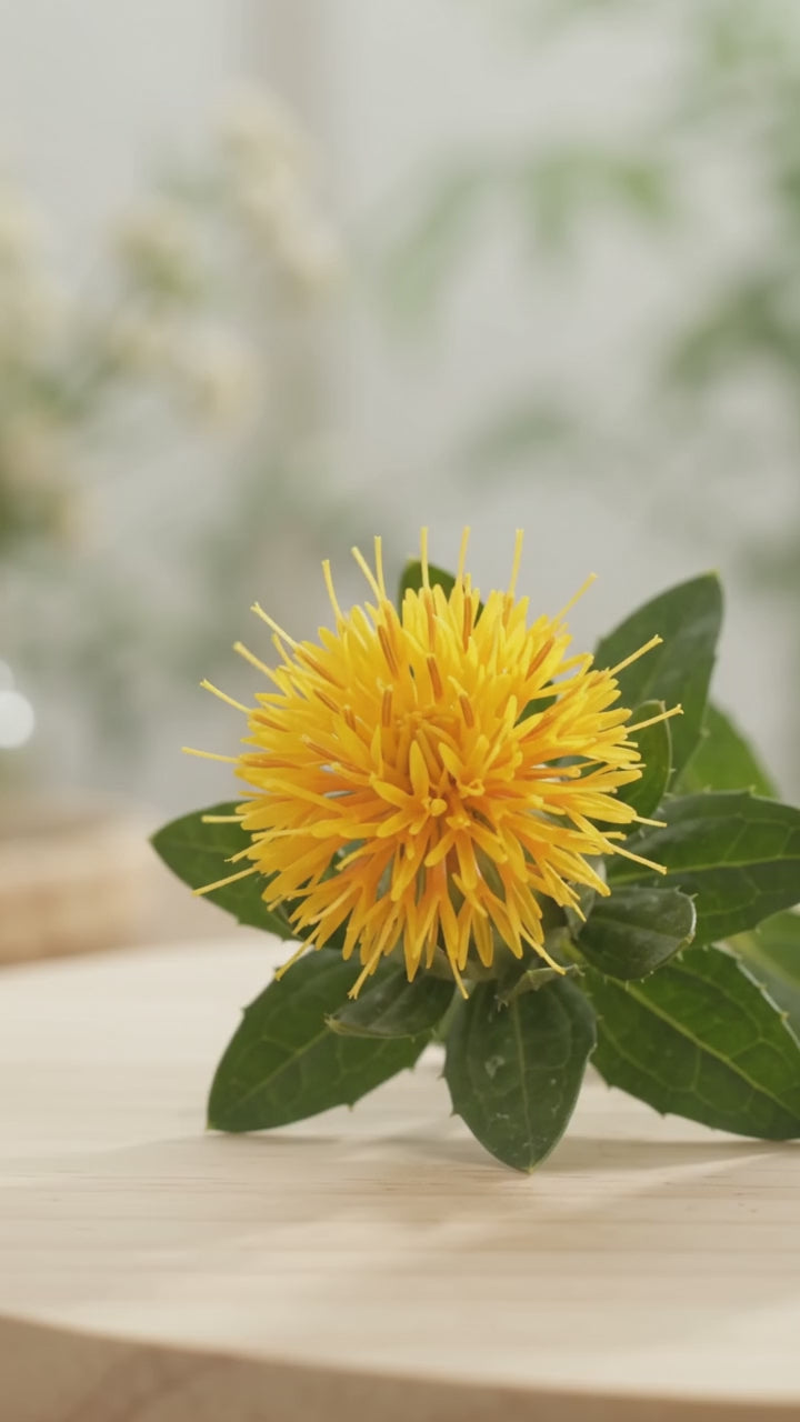 Óleo de Cártamo - 100% natural uso capilar e corporal