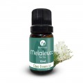 Óleo essencial de Melaleuca (Tea Tree) 100% puro e natural