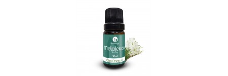 Óleo essencial de Melaleuca (Tea Tree) 100% puro e natural