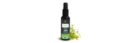 Água Floral de Erva Doce Hidrolato 100% orgânico