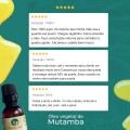 Óleo de Mutamba Puro - 100% natural uso capilar e corporal